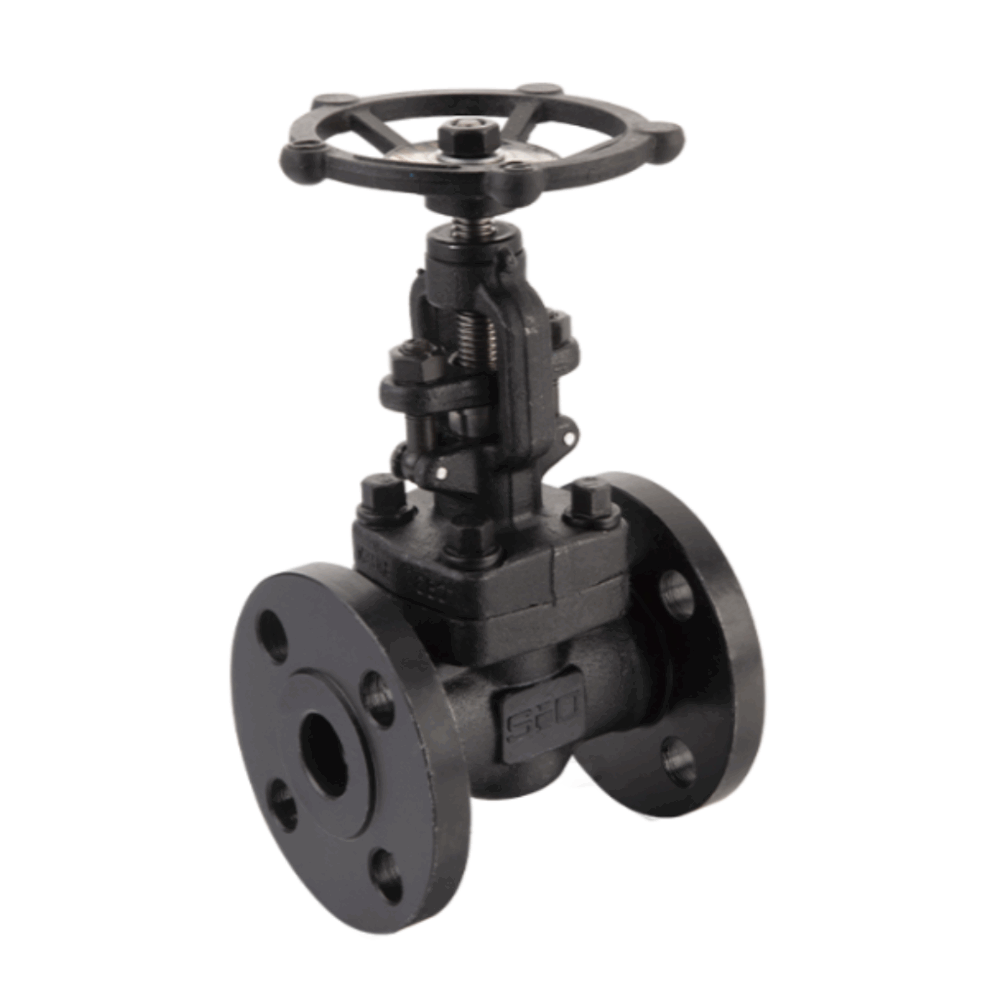 VALVULA GLOBO ACERO CARBON SIO